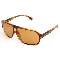 Paragon Brown Lens &amp; Havana Frame