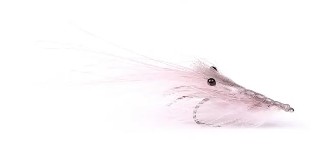 Pattegrisen Grey 6 