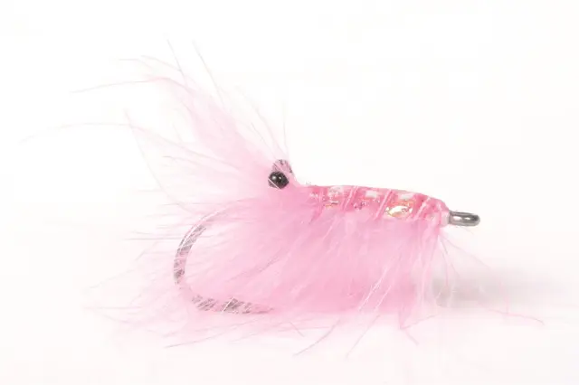 Runar's CDC Reke Pink EK 6 