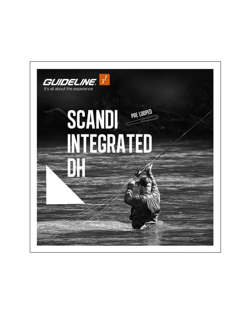 Scandi DH Integrated #8/9 F 