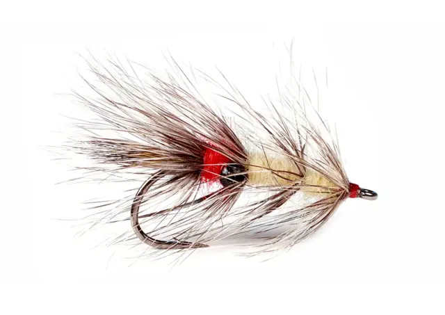 Vaskebjørn 8 