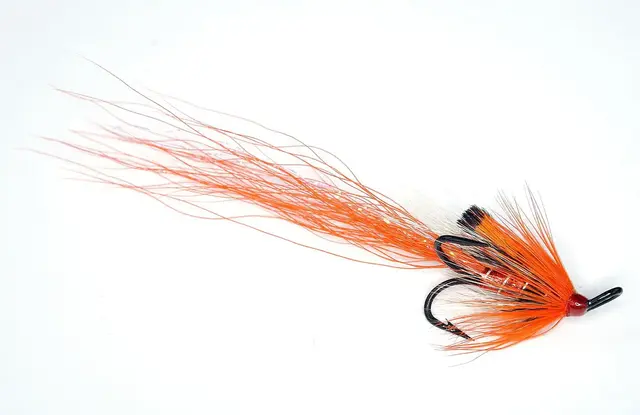 Ally's Shrimp 6 