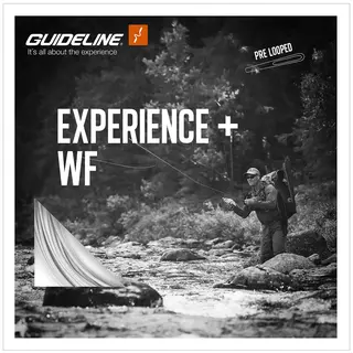 Experience+ WF Float