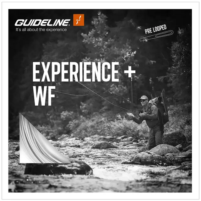 Experience+ WF #6 
