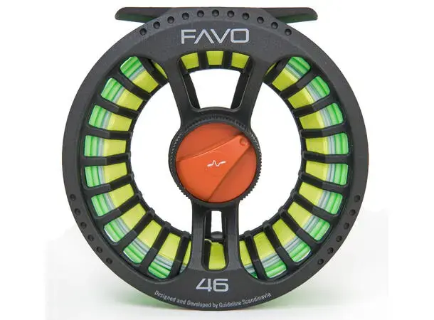 FAVO #79 