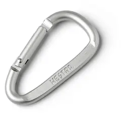 Hestra Carabiner 50 mm