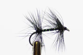 KNOTTED MIDGE T&#248;rrflue