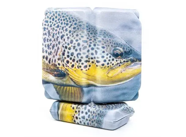 Trout Slit Foam Fly Box Small 