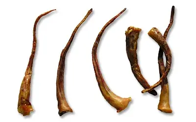 PROVIT Grisehaler 