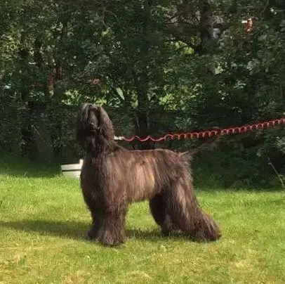 Jordskrue m.løpeline 3m 