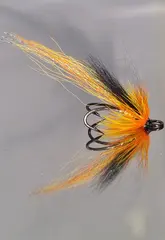 Ally's Cascade Shrimp DK