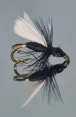Black Ant DK