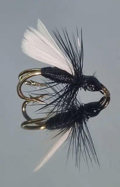 Black Ant DK 10 