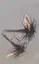 Black Gnat 10 EK 