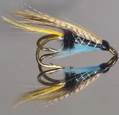 Blue Charm DK
