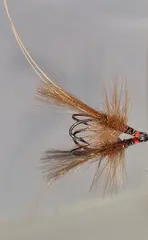 Brunøyet Low Water DK
