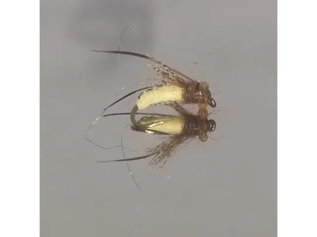 Caddis Pupa 10 EK 