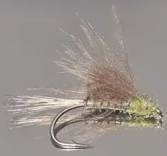 CDC Olive Emerger