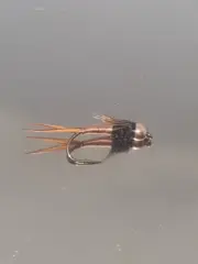 Copper Johns Brasshead
