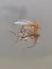 Daddy Long Legs Tørrflue