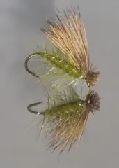 Elk Hair Caddis-Olive Tørrflue