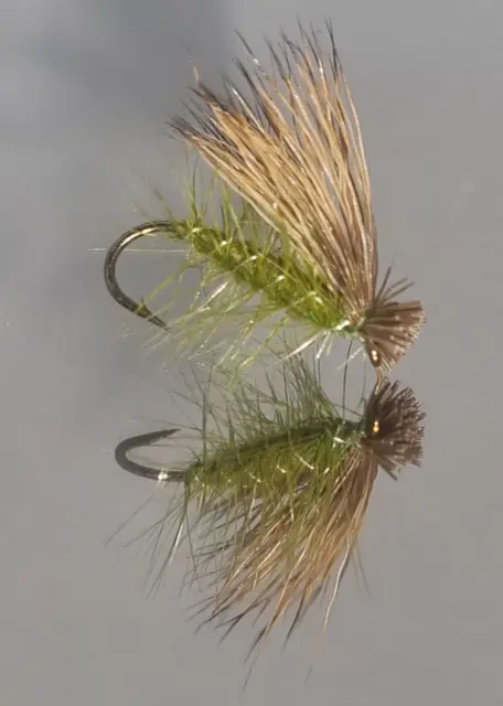 Elk Hair Caddis-Olive 12 EK 