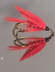 CARDINAL DK