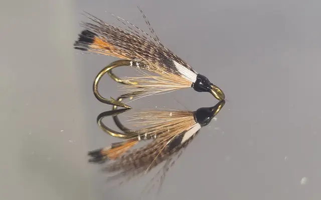 HEGGELI FLY DK 12 