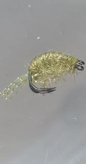 Kobberbassen Olive 10 