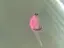 Kobberbassen Rosa 8 