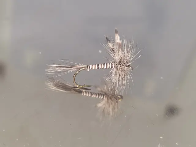 MOSQUITO TØRRFLUE 10 