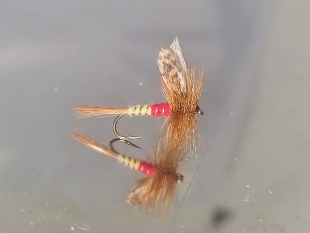 OLSEN TØRRFLUER 12 