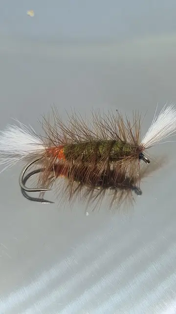 Pompero Olive/Fl Orange Hot Spot 6 