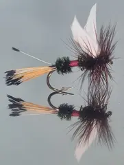 Royal Coachman Tørrflue