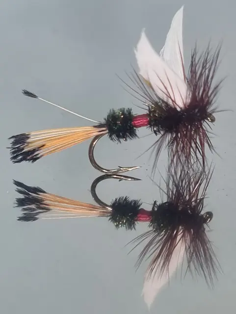 Royal Coachman 12 EK 