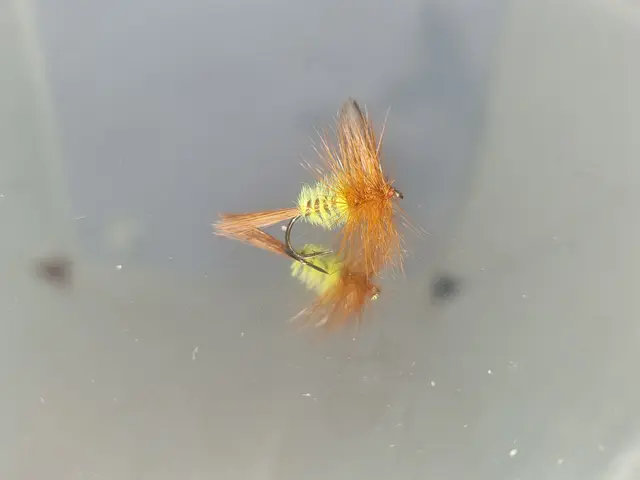 VERRE EN MINKEN TØRRFLUE 10 