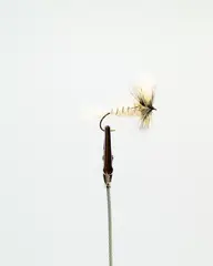 Bomber White (Wolff) White Tail-Badger Hackle