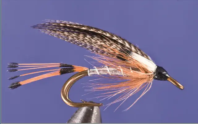 HEGGELI FLY DK 10 