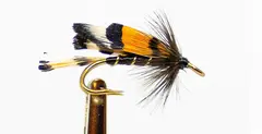 JUNGLE COCK GOLD DK 6