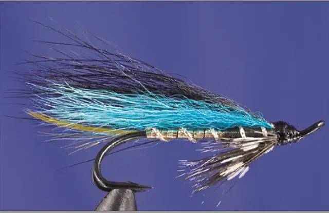 MIDNIGHT BLUE 4 DK 