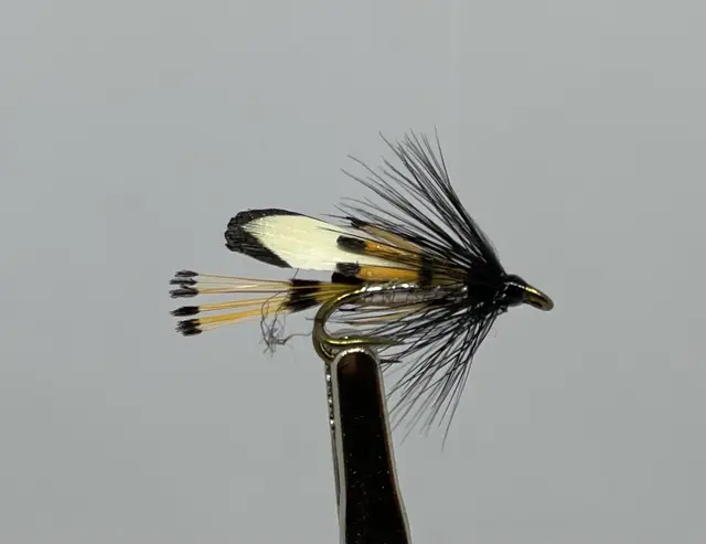 JUNGLE COCK SILVER 6 