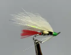 Repparfjorden Vippetangen DK 8