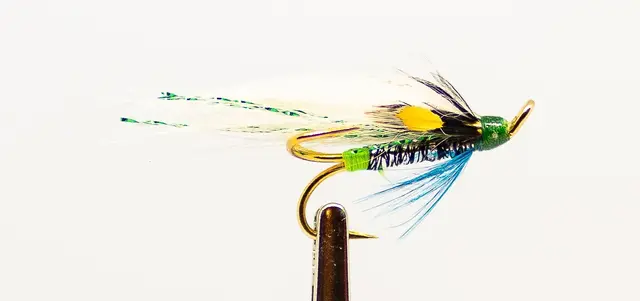 PONOI DK 6 