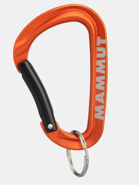 Mammut Mini Carabiner Workhorse Keylock  L 