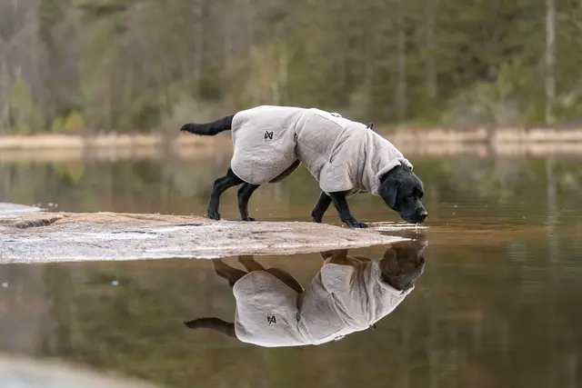Drying Coat 45 