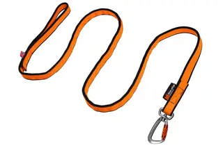 Bungee leash 2 m