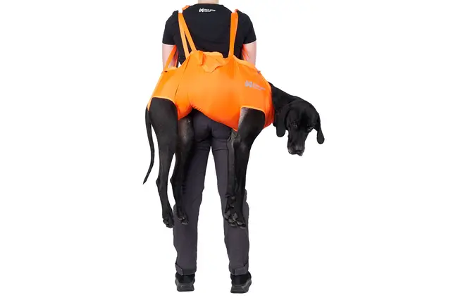 Dog rescue sling L 