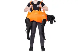 Dog rescue sling