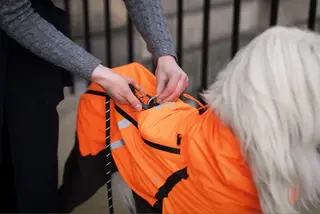Fjord overall raincoat 27
