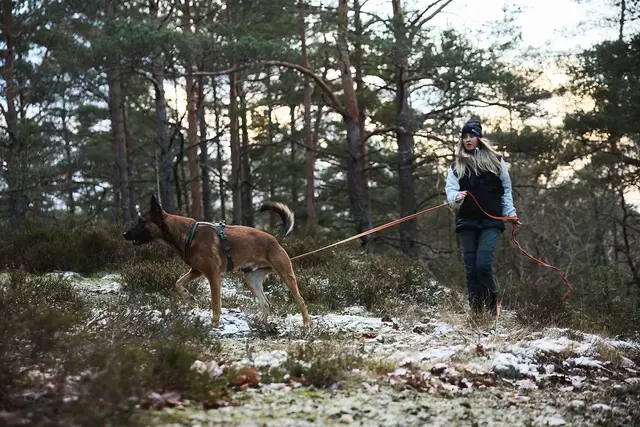 Friction long line 15m 